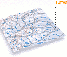 3d view of Bustos