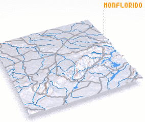 3d view of Monflorido