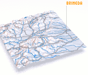 3d view of Brimeda