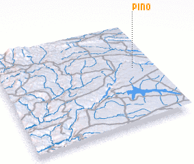 3d view of Pino