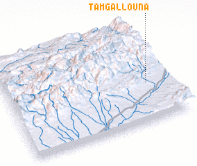 3d view of Tamgallouna