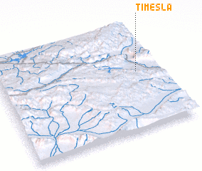 3d view of Timesla