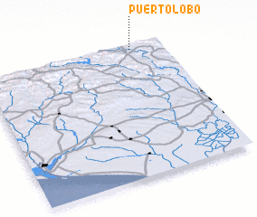 3d view of Puerto Lobo