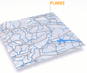 3d view of Flores