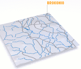 3d view of Brokohio