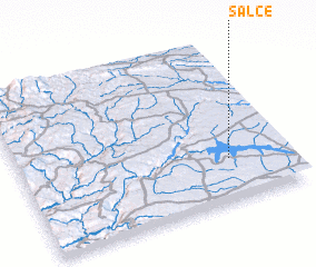 3d view of Salce