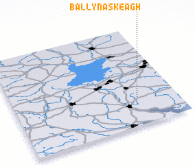 3d view of Ballynaskeagh