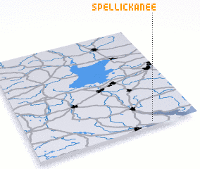 3d view of Spellickanee