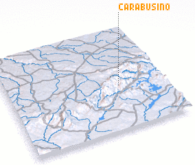 3d view of Carabusino