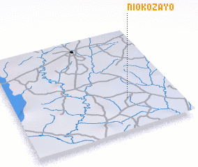 3d view of Niokozayo