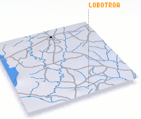 3d view of Lobotroa