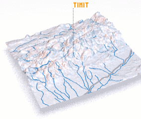 3d view of Timit