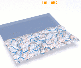 3d view of La Llama