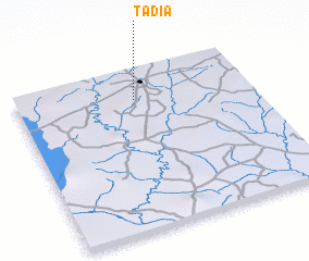 3d view of Tadia