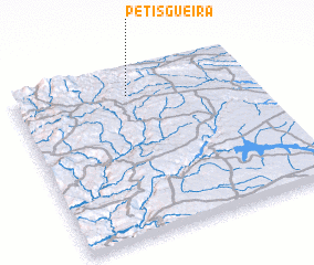 3d view of Petisgueira