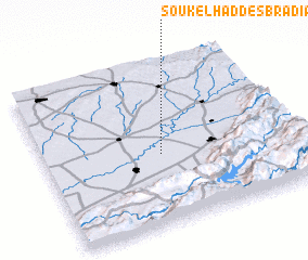 3d view of Souk el Had des Bradia