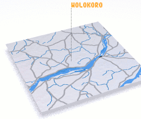 3d view of Wolokoro