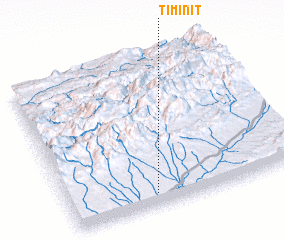 3d view of Timinit