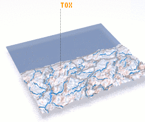 3d view of Tox