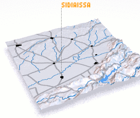 3d view of Sidi Aïssa