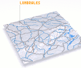 3d view of Lumbrales