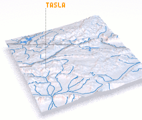 3d view of Tasla