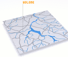 3d view of Wolomé
