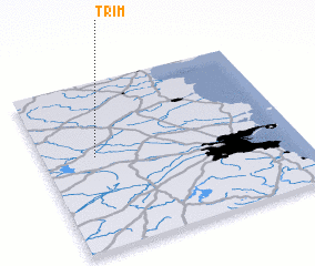 3d view of Trim