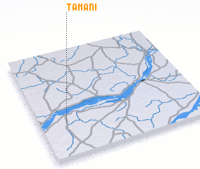 3d view of Tamani