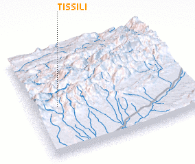 3d view of Tissili