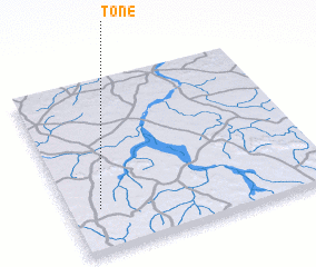 3d view of Toné