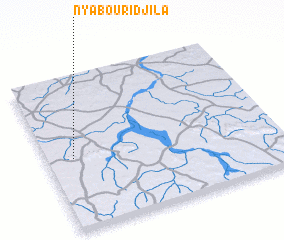 3d view of Nyabouridjila