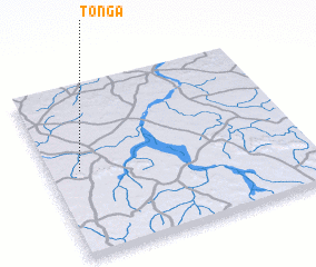 3d view of Tonga