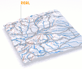 3d view of Real