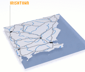 3d view of Irishtown