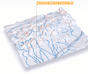 3d view of Zaouia Sidi Bennaji