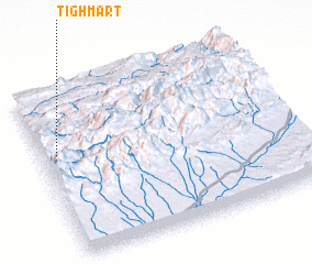 3d view of Tighmart