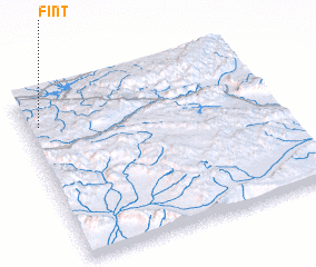 3d view of Fint