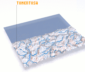 3d view of Tomentosa