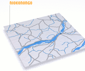 3d view of Niokonongo