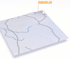 3d view of Naranjo