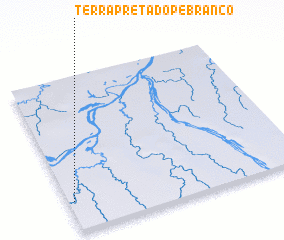 3d view of Terra Preta do Pé Branco