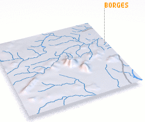 3d view of Borges