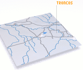 3d view of Troncos