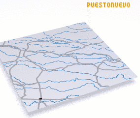 3d view of Puesto Nuevo