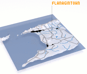 3d view of Flanagin Town