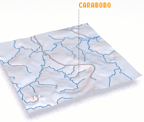 3d view of Carabobo