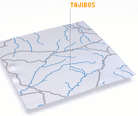 3d view of Tajibos