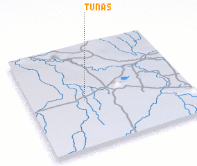 3d view of Tunas