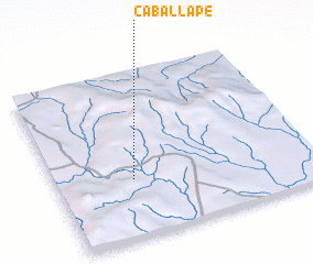 3d view of Caballape